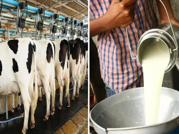 Modern Challenges and Opportunities in Dairy Farming in India