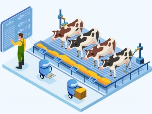 Innovative Dairy Management in India: Driving Growth in the Livestock Sector